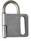 Hasp5509-thumby.jpg